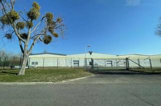 Gewerbeimmobilie mieten in Am Zeugamt, 04758 Oschatz, Lager- und Logistikhalle (TO 20a) provisionsfrei mit guter Verkehrsanbindung