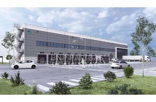 Gewerbeimmobilie mieten in 75428 Illingen, NEUBAU LOGISTIK-/ LAGER – UND PRODUKTIONSHALLE MIT BÜROANTEIL