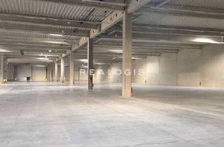 Gewerbeimmobilie mieten in 31515 Wunstorf, NEUBAU | ca. 45.000 m² Hallenfläche