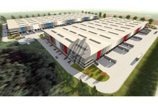 Büro zu mieten in 36251 Bad Hersfeld, KEINE PROVISION ✓ NEUBAU ✓ Lager-/Logistik (85.000 m²) & variabel Büro-/Mezzanine (5.000 m²)