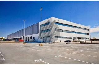 Büro zu mieten in 36251 Bad Hersfeld, KEINE PROVISION ✓ NEUBAU ✓ Lager-/Logistik (30.000 m²) & variabel Büro-/Mezzanine (2.000 m²)