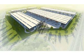 Büro zu mieten in 36251 Bad Hersfeld, KEINE PROVISION ✓ NEUBAU ✓ Lager-/Logistik (10.000 m²) & variabel Büro-/Mezzanine (1.000 m²)