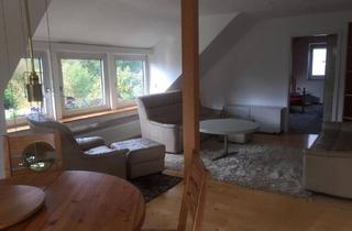 Wohnung mieten in Schillerweg, 74572 Blaufelden, sonnige und ruhige 2-Zimmer Wohnung mit Aussicht zu vermieten