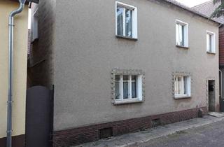 Haus kaufen in Zur Lehde, 06193 Löbejün, 2 Häuser zu verkaufen