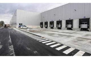Gewerbeimmobilie mieten in 14974 Ludwigsfelde, "BAUMÜLLER & CO." - 45.000 m² Neubau Hallenfläche - Top Lage !