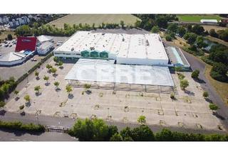 Gewerbeimmobilie mieten in 06237 Kötschlitz, 15.000 m² sofort verfügbar, direkt an der A9