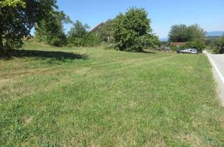 Grundstück zu kaufen in 94544 Hofkirchen, Baugrundstück mit Ausblick nahe Vilshofen mit ca. 2300 m²