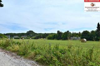 Grundstück zu kaufen in 18556 Breege, Attraktives, ruhig liegendes Baugrundstück in Breege