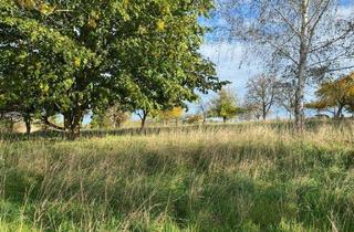 Grundstück zu kaufen in 04720 Döbeln, Hausbau geplant? Grundstücke zwischen 600 - 900 m² in begehrter Lage