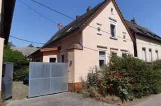 Haus kaufen in Dorfstr., 39249 Tornitz, Ein- bis Zweifamilienhaus in ruhiger Sackgassenlage