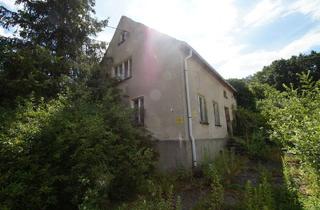 Grundstück zu kaufen in 04874 Belgern, Belgern-Schildau - Unweit Dahlener Heide - Idyllisch gelegenes Grundstück zur Neubebauung