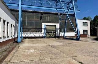 Büro zu mieten in 06862 Roßlau, Produktion-/Lagerhalle mit Bürotrakt zur Anmietung!