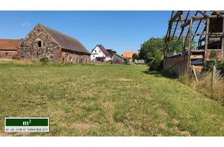 Grundstück zu kaufen in 14827 Wiesenburg, Naturnahes Grundstück mit imposantem Feldsteingebäude.Ideal für Individualisten.