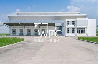Büro zu mieten in 76534 Steinbach, Preiswerte Lager-/ Produktions- & Büroflächen mit Hochregallager - sofort verfügbar!