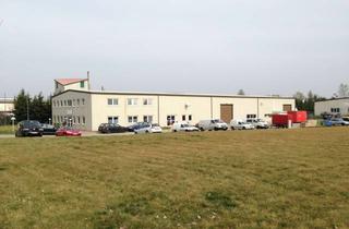 Lager kaufen in Charlottenhof 23, 15848 Beeskow, ++ Gewerbehalle mit Büroräumen und großzügigem Grundstück ++