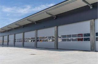 Gewerbeimmobilie mieten in 89340 Leipheim, Neubauhalle / A8 - bis zu 10.000 m² Grundstück