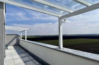 Wohnung kaufen in 86669 Königsmoos, Neubauwohnung Nr. 27 in Stengelheim/Königsmoos