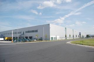 Gewerbeimmobilie mieten in 54516 Wittlich, "BAUMÜLLER & CO." - 18.000 m² NEUBAU Hallenfläche - Rampe + ebenerdig !