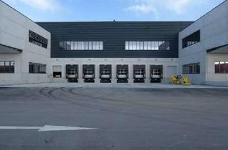 Gewerbeimmobilie mieten in 68519 Viernheim, "BAUMÜLLER & CO." - ca. 2.000 m² Hallenfläche - Direkt an der A6