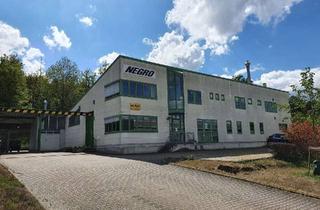 Gewerbeimmobilie kaufen in 75417 Mühlacker, Solides Gewerbeobjekt für Produktion oder Werkstatt in Mühlacker
