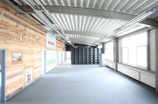 Praxen mieten in 88682 Salem, GROSSZÜGIGE BÜRO-PRAXIS-RÄUME IN SALEM-MIMMENHAUSEN