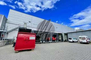 Büro zu mieten in 61191 Rosbach, SCHNELL VERFÜGBAR ✓ Tiefkühl-/Kühl-Lager (2.500 m²) & Büro (400 m²) zu vermieten