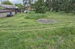 Grundstück zu kaufen in 16259 Bad Freienwalde, Baugrundstück für EFH