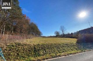 Grundstück zu kaufen in 95326 Kulmbach, Ländliche Idylle - großzügiges Grundstück mit Wiese und Wald in Kirchleus