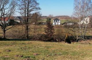 Grundstück zu kaufen in 09669 Frankenberg, Baugrundstück in Feldrandlage in Frankenberg