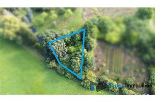 Grundstück zu kaufen in 65779 Kelkheim, Unberührtes Naturgrundstück in unmittelbarer Nähe zu Kelkheim-Hornau