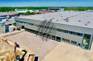 Büro zu mieten in 63741 Nilkheim, KEINE PROVISION ✓ PROJEKTIERTER NEUBAU ✓ Lager-/Produktion (7.500 m²) & Büro-/Sozial (1.300 m²)