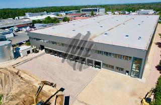 Büro zu mieten in 63814 Mainaschaff, KEINE PROVISION ✓ PROJEKTIERTER NEUBAU ✓ Lager-/Produktion (7.500 m²) & Büro-/Sozial (1.300 m²)