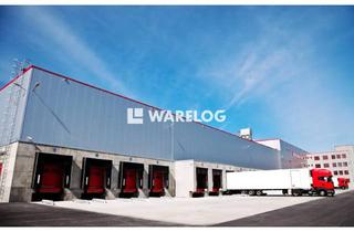 Gewerbeimmobilie mieten in 89188 Merklingen, RAUM MERKLINGEN // NEUBAU // Produktions-/Lager-/Logistikflächen PROVISIONSFREI zu vermieten!