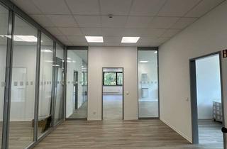 Büro zu mieten in Teerofendamm, 14532 Kleinmachnow, Moderne Bürofläche provisionsfrei zu vermieten