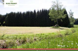 Gewerbeimmobilie kaufen in Am Graben 30, 92539 Schönsee, Fünf gesunde Wälder mit guter Zufahrt