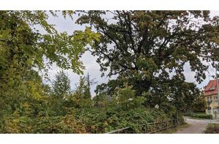 Grundstück zu kaufen in 17389 Anklam, Unbebautes Grundstück im Innenbereich von Anklam