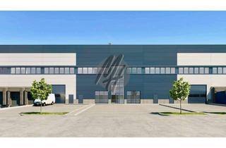 Büro zu mieten in 63456 Hanau, NEUBAU / ERSTBEZUG ✓ AB Q1-2024 ✓ Lager-/Logistik (5.000 m²) & Büro (500 m²)