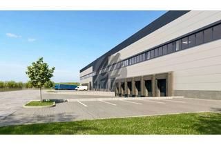 Büro zu mieten in 63128 Dietzenbach, NEUBAU / ERSTBEZUG ✓ AB Q1-2024 ✓ Lager-/Logistik (5.000 m²) & Büro (500 m²)