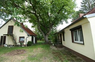 Bauernhaus kaufen in 15374 Müncheberg, Bauernhof in Müncheberg – dem Tor zur Märkischen Schweiz