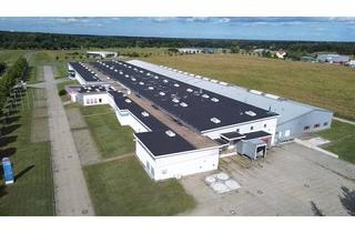 Gewerbeimmobilie mieten in Gewerbering 38, 03099 Kolkwitz, Direkt vom Eigentümer - Hallenflächen zu vermieten - Erweiterungsflächen verfügbar