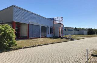 Gewerbeimmobilie mieten in Gewerbering 38, 03099 Kolkwitz, Direkt vom Eigentümer - Hallenflächen zu vermieten - Erweiterungsflächen verfügbar