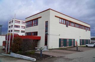 Büro zu mieten in 74078 Neckargartach, 027/29 Produktions-/Lagerhalle mit großzügigen Büroflächen "Böllinger Höfe" in 74078 Heilbronn