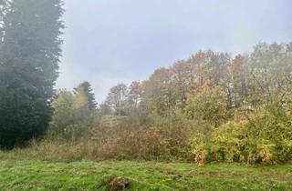 Grundstück zu kaufen in Rotteroder Straße 13, 98587 Steinbach-Hallenberg, Baugrundstück mit unverbaubarem Blick zur Hallenburg zu verkaufen