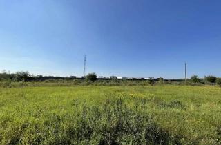 Immobilie mieten in Bahnhofstraße 45, 41472 Neuss, Freifläche zur freien Gestaltung