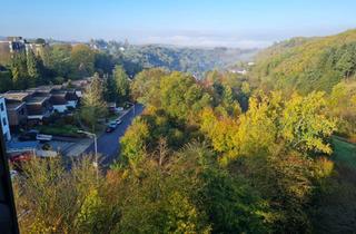 Wohnung mieten in Irscher Berg, 54296 Trier, Helle 2,5 Zimmer 60qm Wohnung mit grandioser Aussicht in Uni Nähe