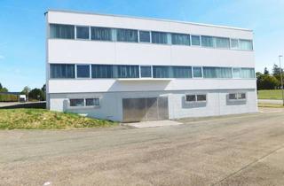 Gewerbeimmobilie mieten in 72461 Albstadt, 1.380 m² Lager mit ebenerdiger Zufahrt, Gewerbeflächen 395 m² und 1.252 m²