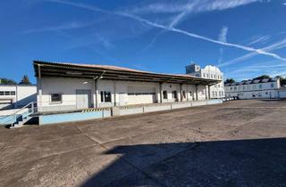 Gewerbeimmobilie mieten in Speicherstraße 2-10, 06526 Sangerhausen, Beheizbare Lager- & Produktionshalle mit ca. 1130 m².