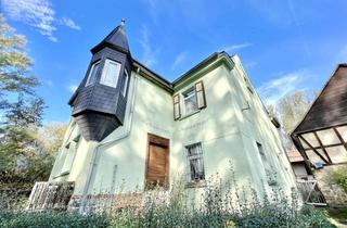 Anlageobjekt in 06502 Thale, Historisches & burgähnliches Anwesen mit vielen Nutzungsmöglichkeiten in reizvoller Lage