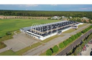 Gewerbeimmobilie mieten in 03099 Kolkwitz, Moderne Produktions- / Lagerhalle auf ca. 3,5ha GE-Grundstück| Rampen | 24/7 Betrieb mögl.
