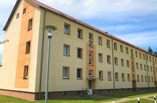 Wohnung mieten in 18513 Grammendorf, Grammendorf - Helle, freundliche 2 Zimmer Wohnung!